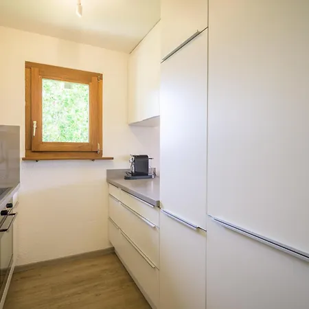 Edelweiss Ferienwohnung, Attica Muntognas アパート フリムス