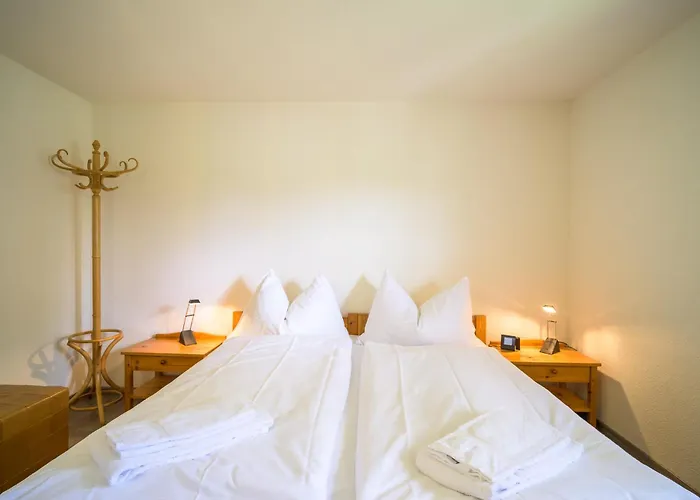 Edelweiss Ferienwohnung, Attica Muntognas * Flims