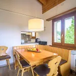 Edelweiss Ferienwohnung, Attica Muntognas *